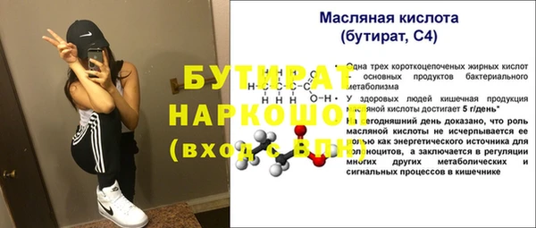 индика Лабытнанги