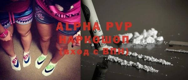 индика Лабытнанги