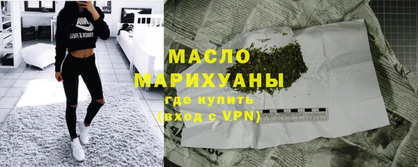 индика Лабытнанги