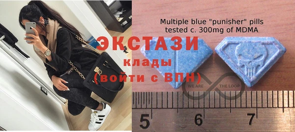 индика Лабытнанги