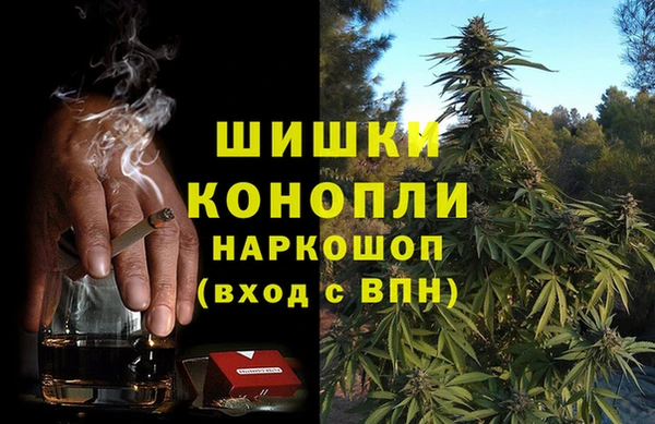 индика Лабытнанги