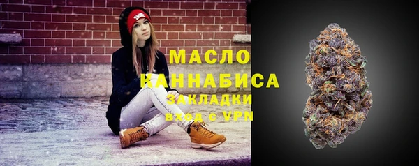 индика Лабытнанги