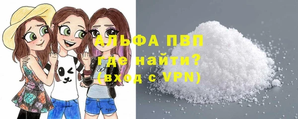 индика Лабытнанги