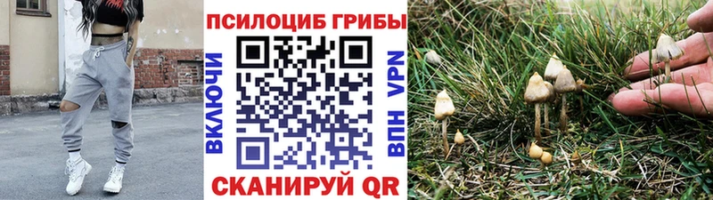 Галлюциногенные грибы мицелий  Хилок 